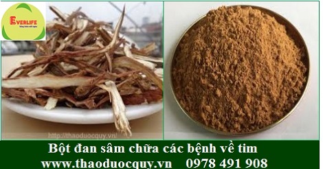 Bột đan sâm Bột đan sâm