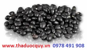 Đậu đen làm thuốc