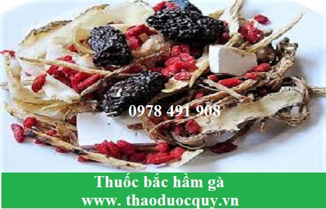 Thuốc bắc hầm gà/ Thuốc bắc tần gà Thuốc bắc hầm gà/ Thuốc bắc tần gà
