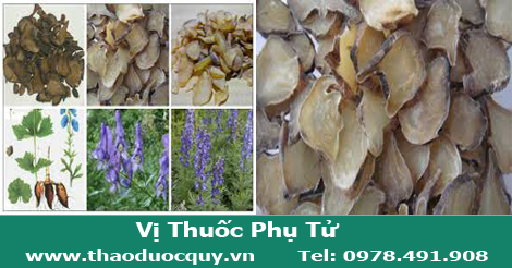 Phụ Tử Phụ Tử