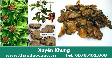 Xuyên Khung Xuyên Khung