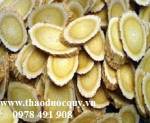 Hoàng kỳ - vị thuốc quý cho bệnh thận mạn