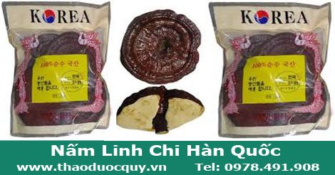 linh-chi-đỏ-h&agrave;n-quốc