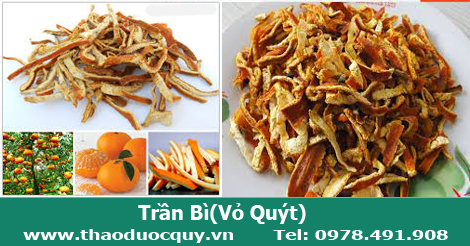 Trần bì- vỏ quýt